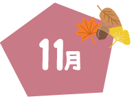 11